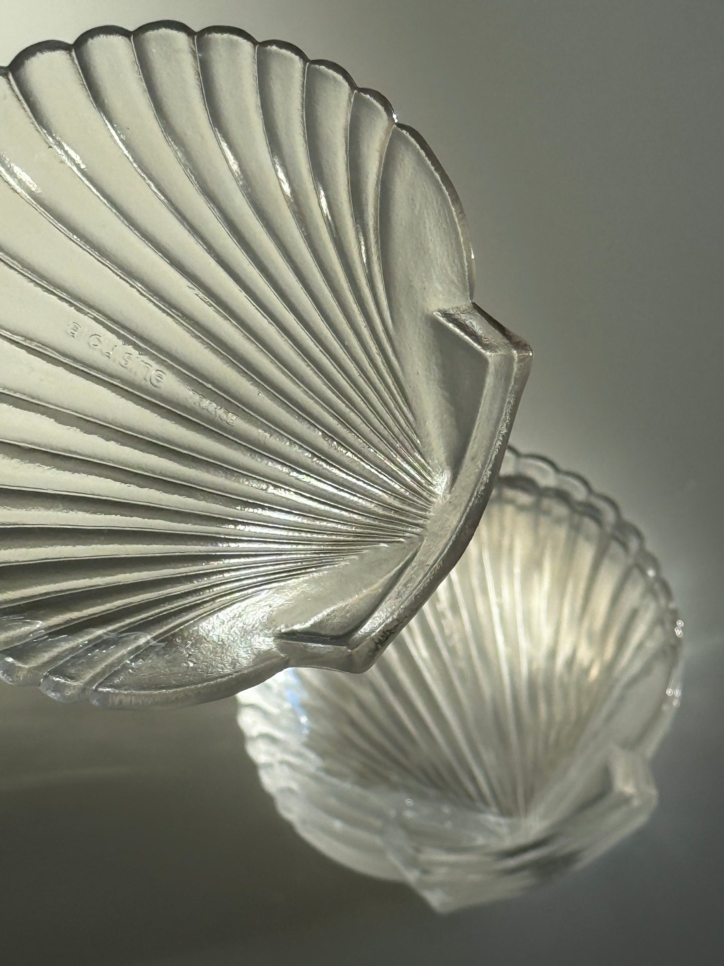 Shell Shaped Glass Serving Dish (Set of 6)