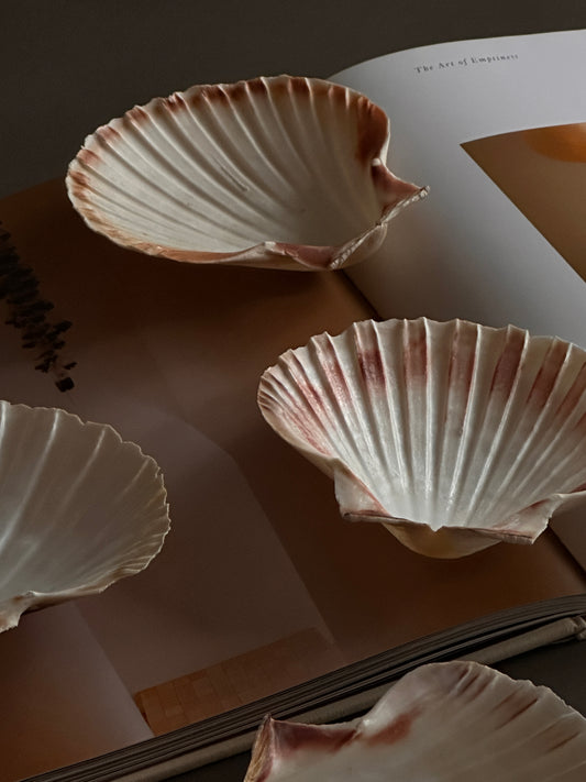 Assiettes de service en coquillage naturel - Lot de 4