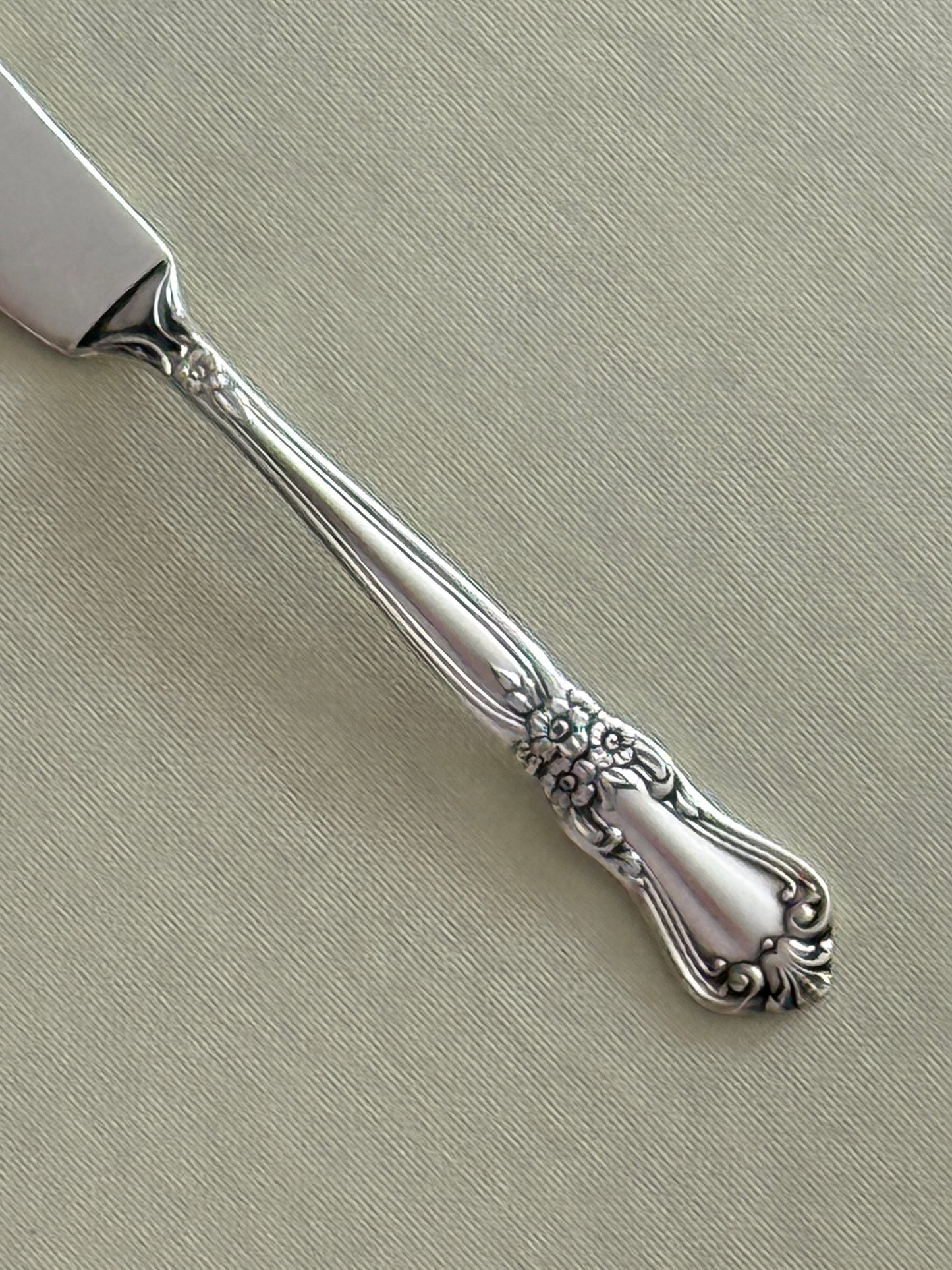 Silver Plated Butter Knife