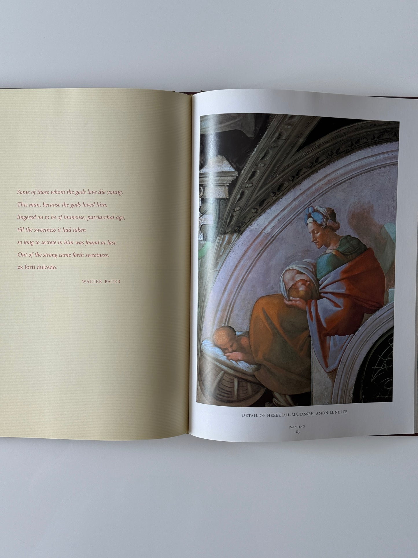 Michelangelo, The Complete Sculpture, Painting, Architecture Coffeetable Book, 1998
