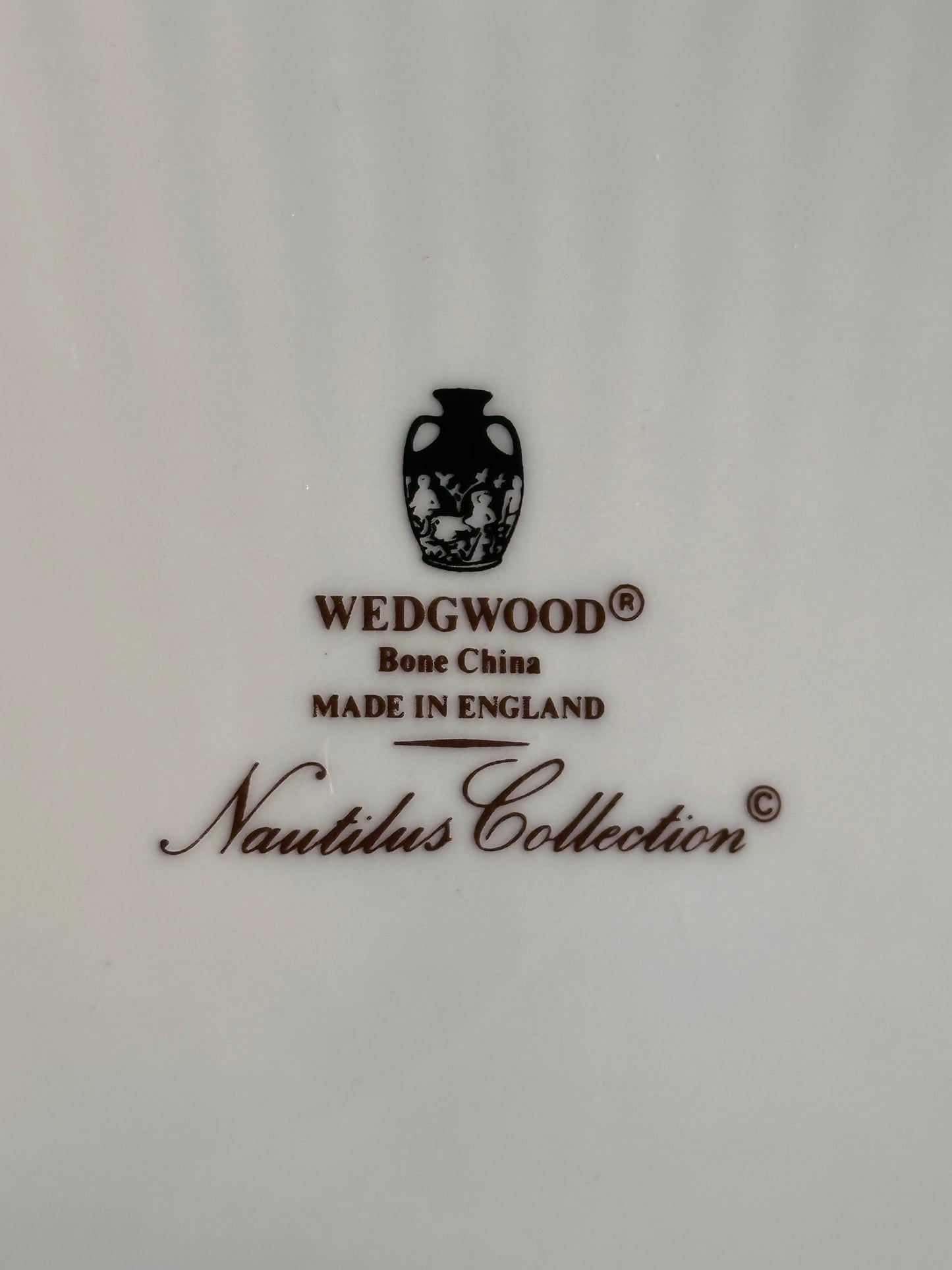 Wedgwood Nautilus Shell Plates - Made in England (set of 8)