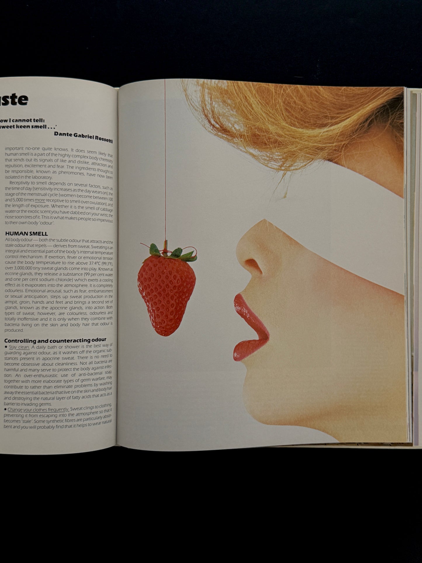 VOGUE Complete Beauty Book, 1982