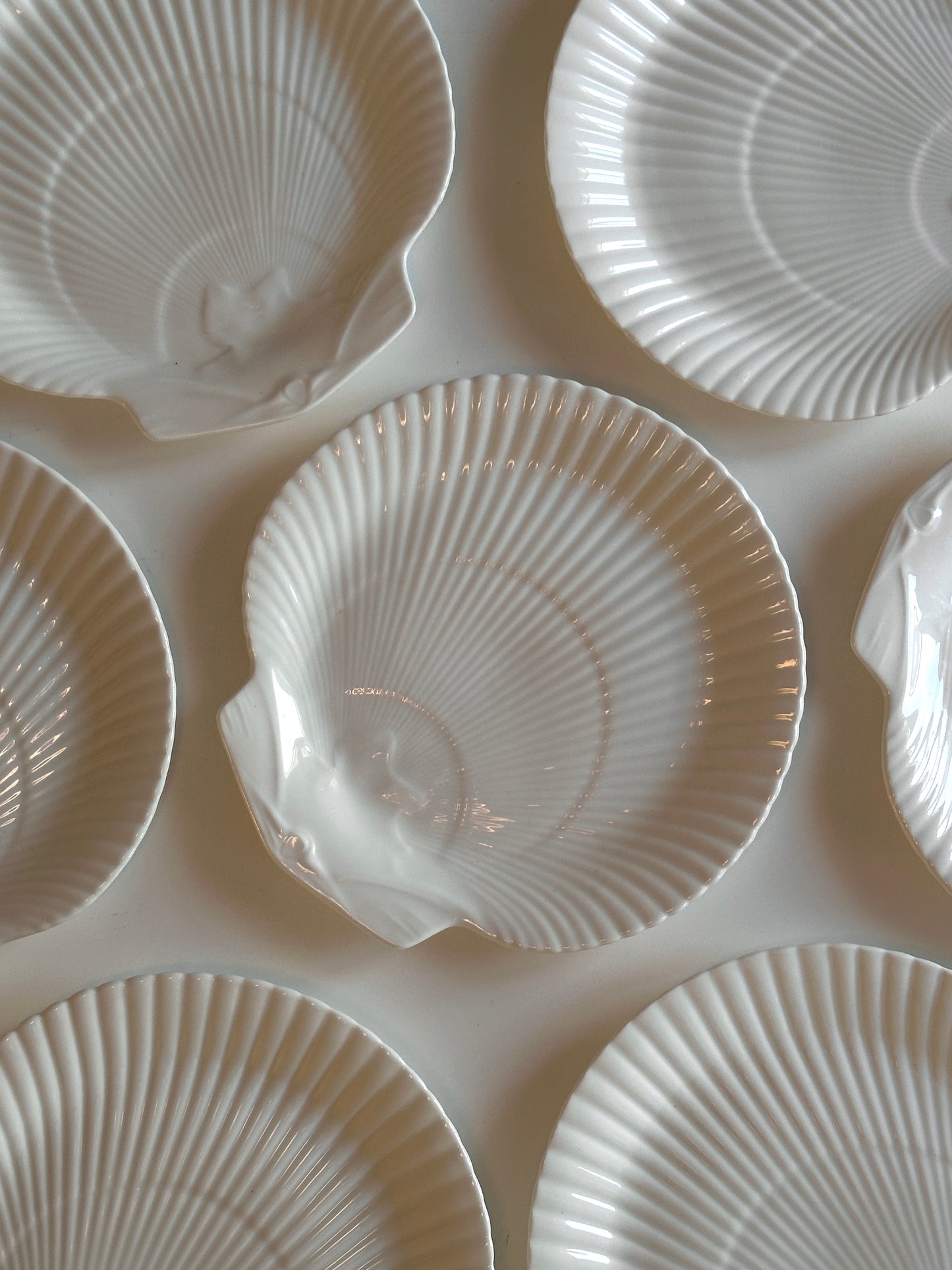 Wedgwood Nautilus Shell Plates - Made in England (set of 8)