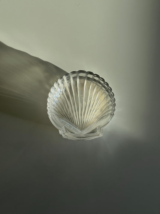 Shell Shaped Glass Serving Dish (Set of 6)