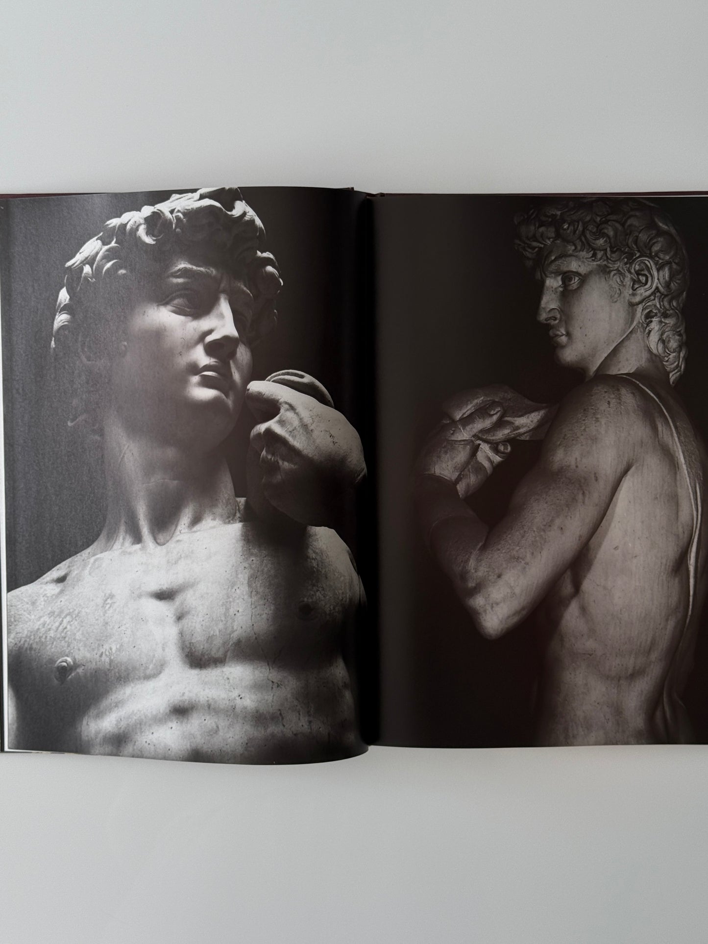 Michelangelo, The Complete Sculpture, Painting, Architecture Coffeetable Book, 1998