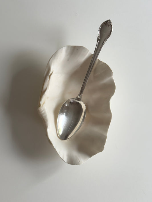 Natural Sculptural Shell