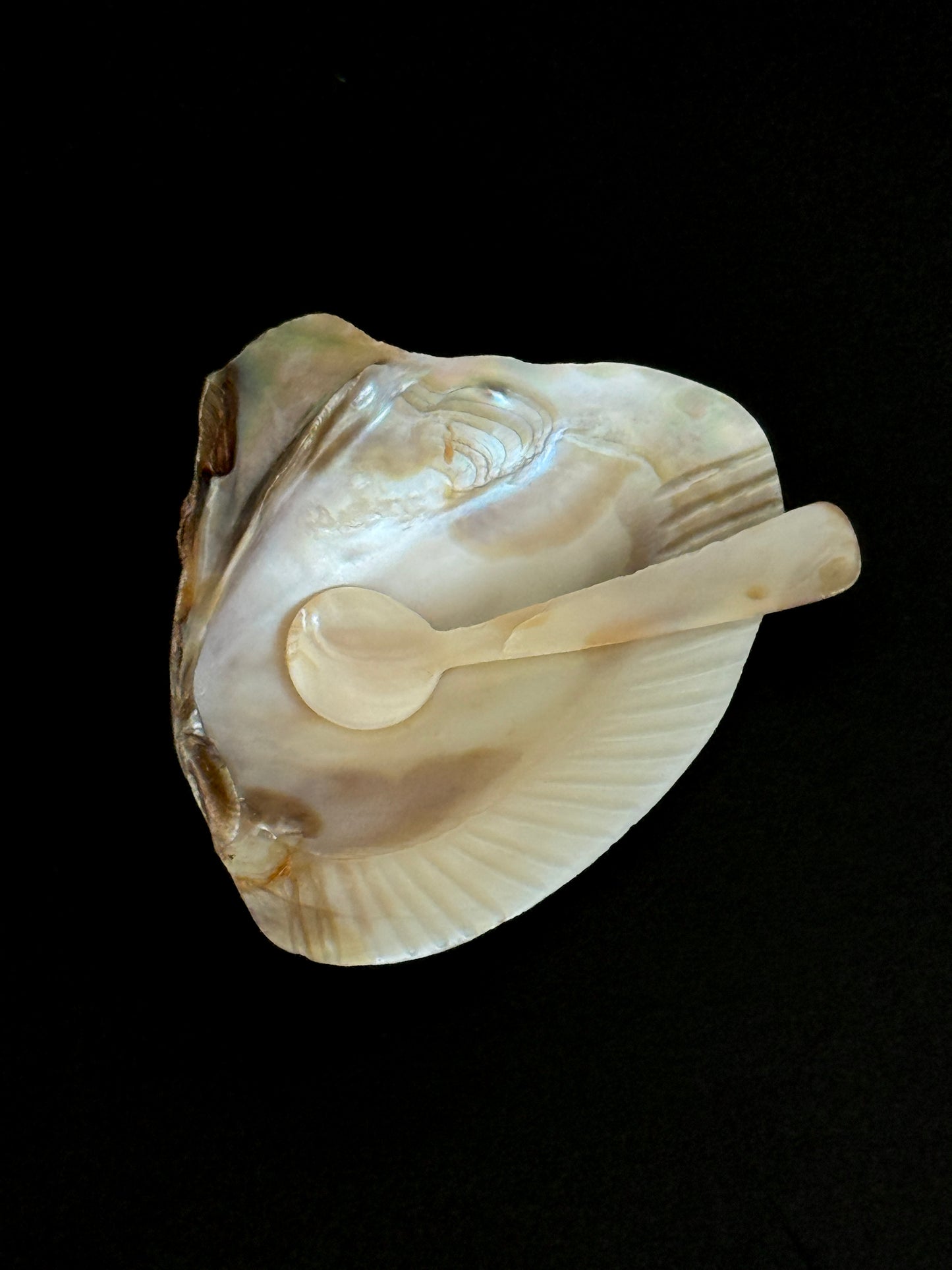 Mother of Pearl Caviar Dish Set 1940s (set of 2)