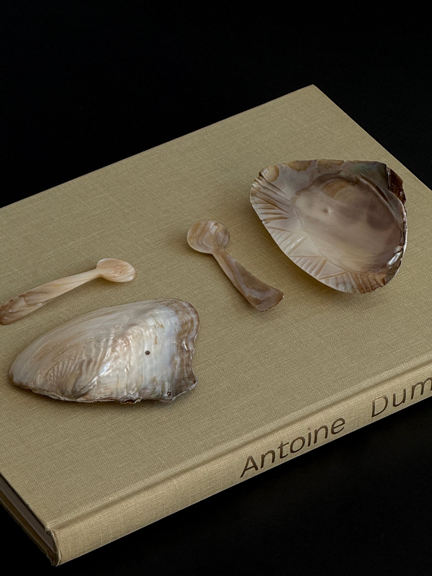 Mother of Pearl Caviar Dish Set 1940s (set of 2)