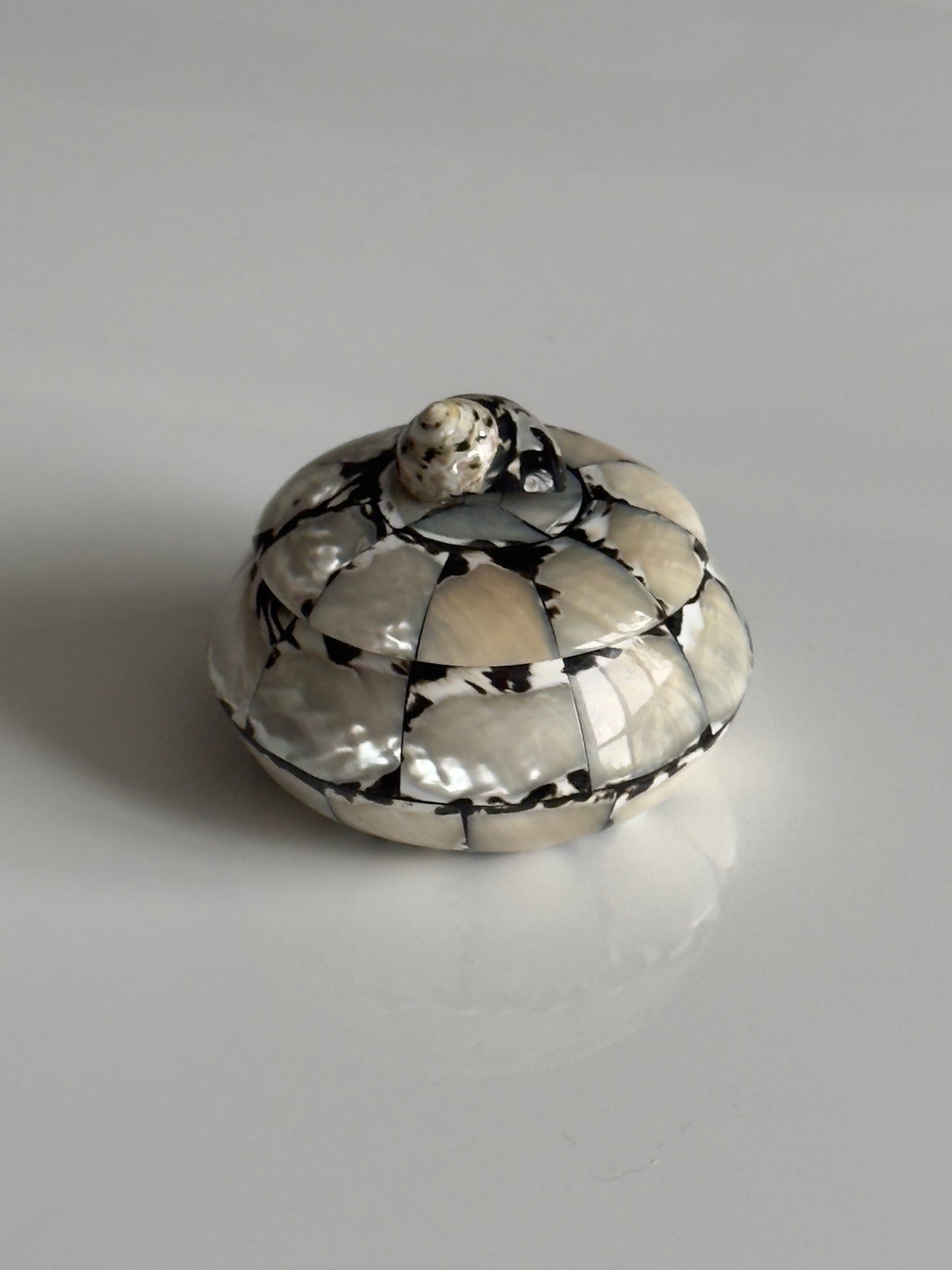 Mother-of-Pearl Seashell Jewelry Box