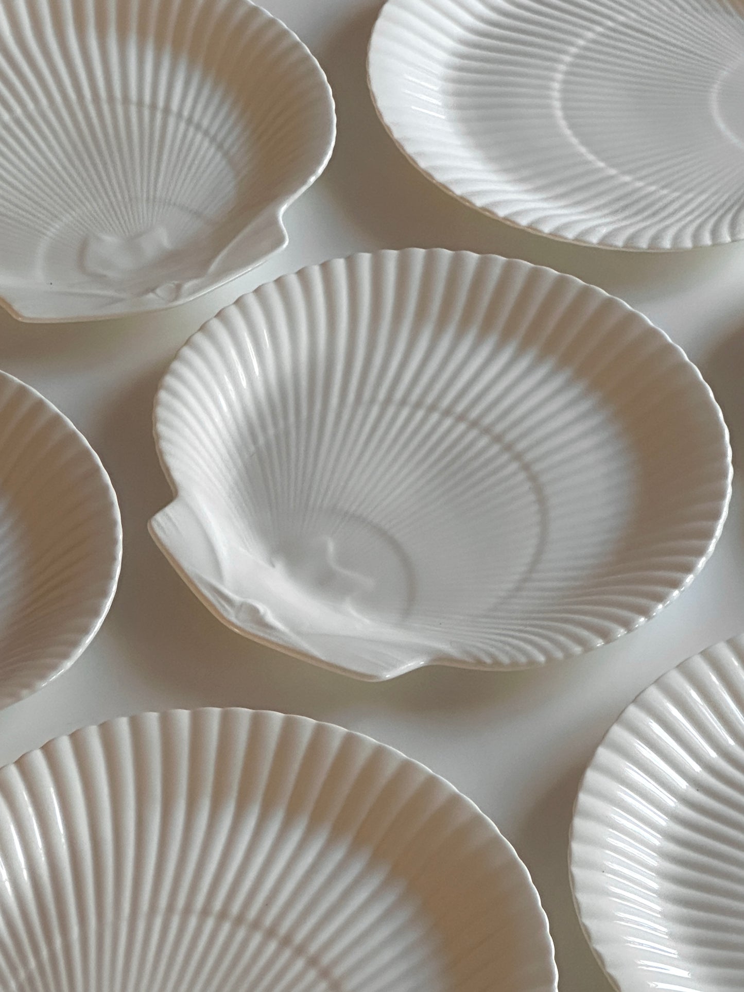 Wedgwood Nautilus Shell Plates - Made in England (set of 8)