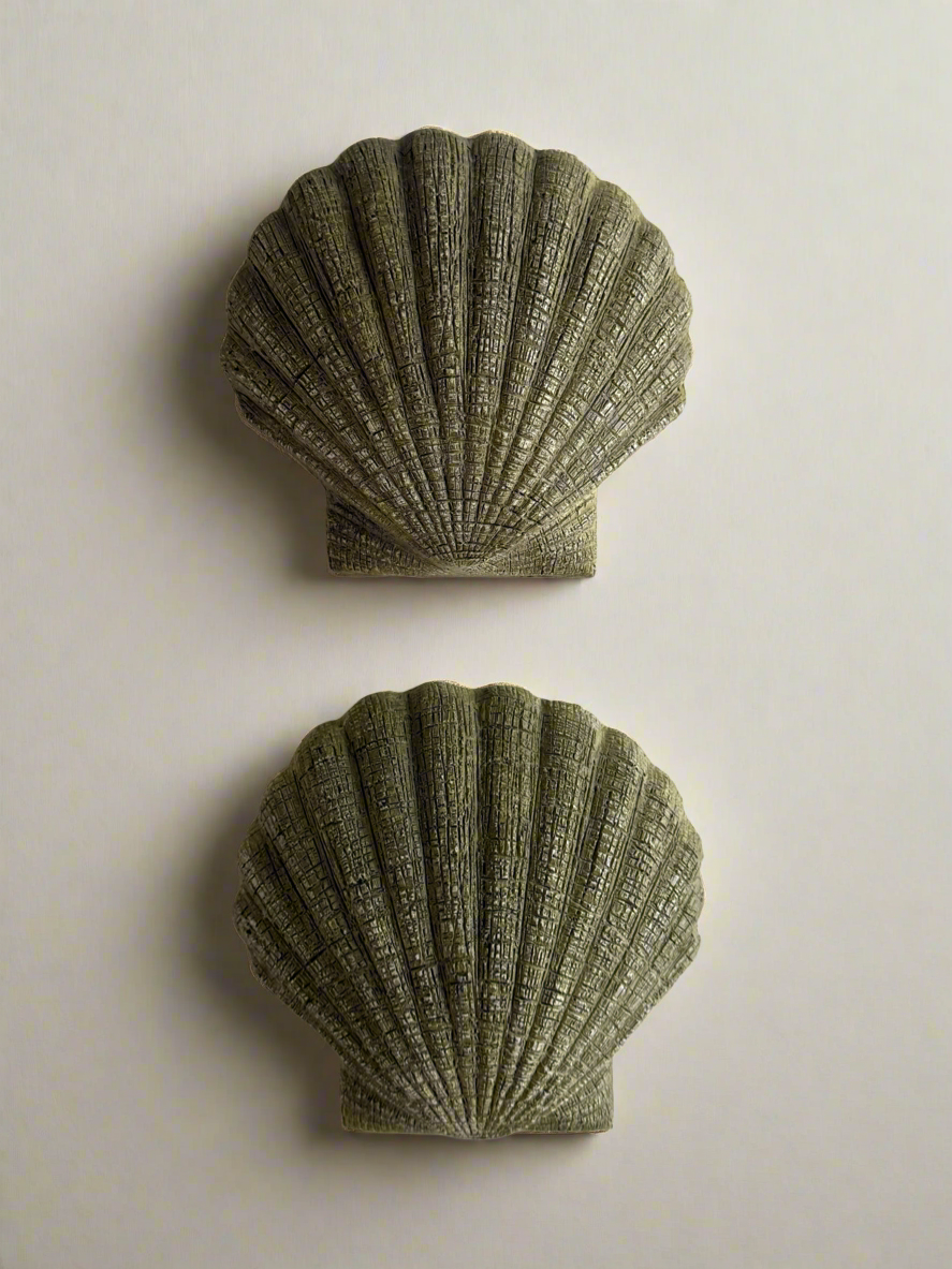 Seashell Wall Accent (set of 2)